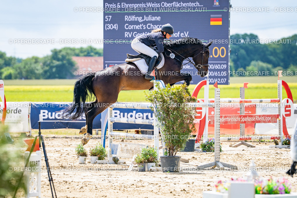 DSC05033 | Pferdegrafie