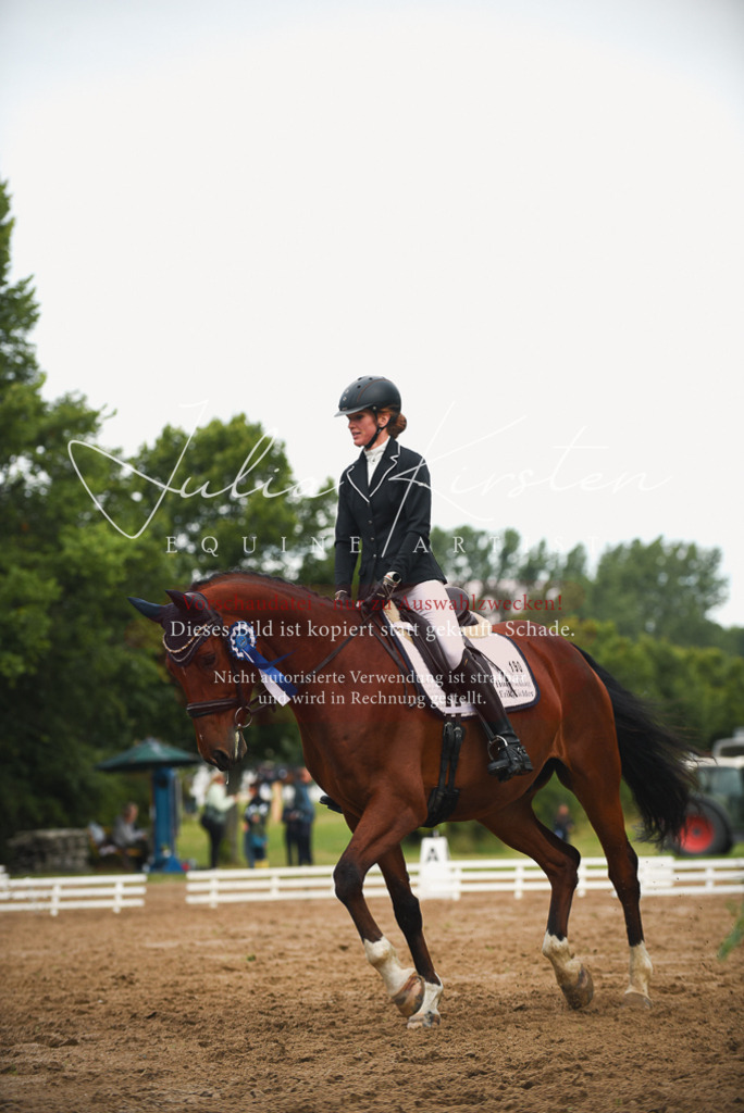 DSC_0316 | Pferde- und Turnierfotografie in Westsachsen. Pferdeportraits, Auftragszeichnungen und intuitive Kunst.