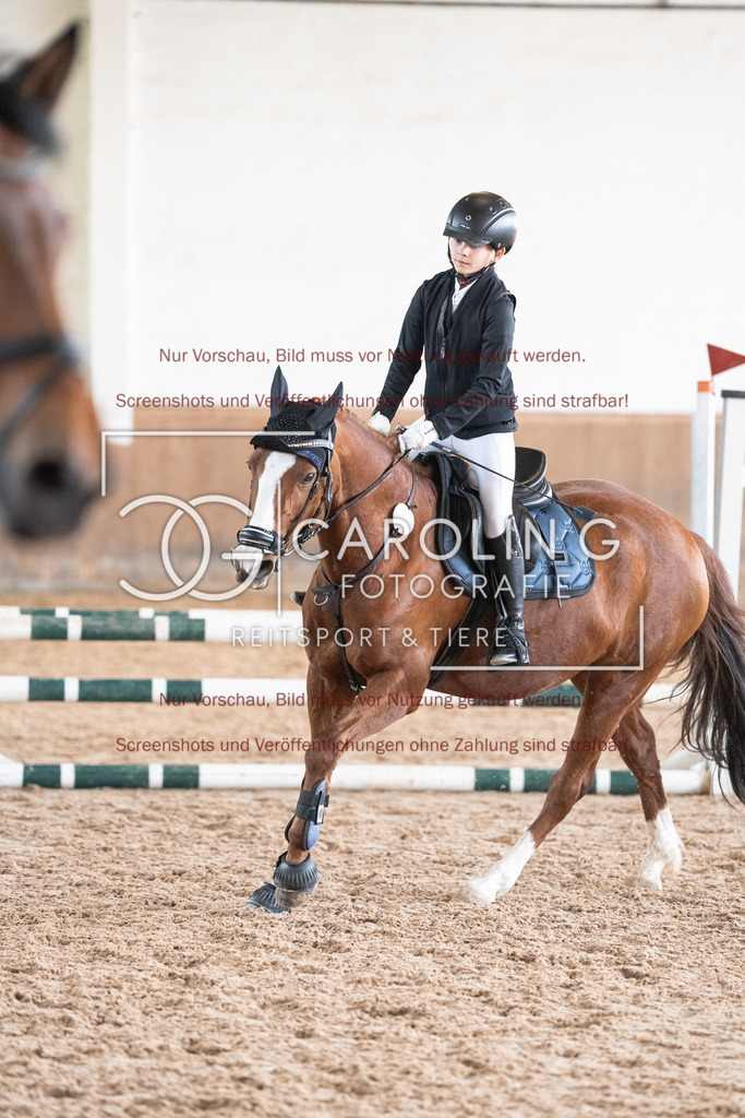 DSC00472 | Reitturnier_Göppingen_April_2026, Anni_Hummel, Vanety_3