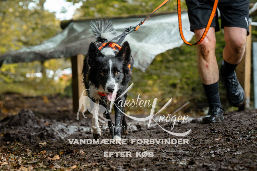 1426DZ6_2052Z6 | kk-dogfotos