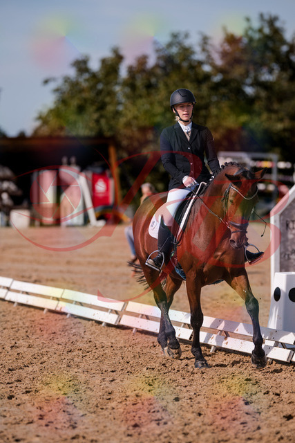 2026_10_03_Siefer-Hof_130744_Z81_58678008 | Professionelle Reitsport-, Turnier- und Eventfotografie von Robert Broda. Galerien mit ausgewählten und bearbeiteten Bildern direkt online ansehen und bestellen.