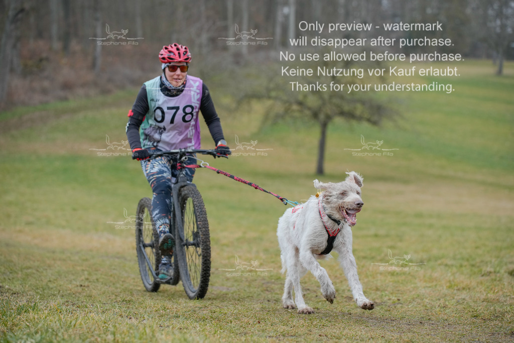 Sa_Scooter1-89 | stephaniefillaphotographie - Realisiert mit Pictrs.com