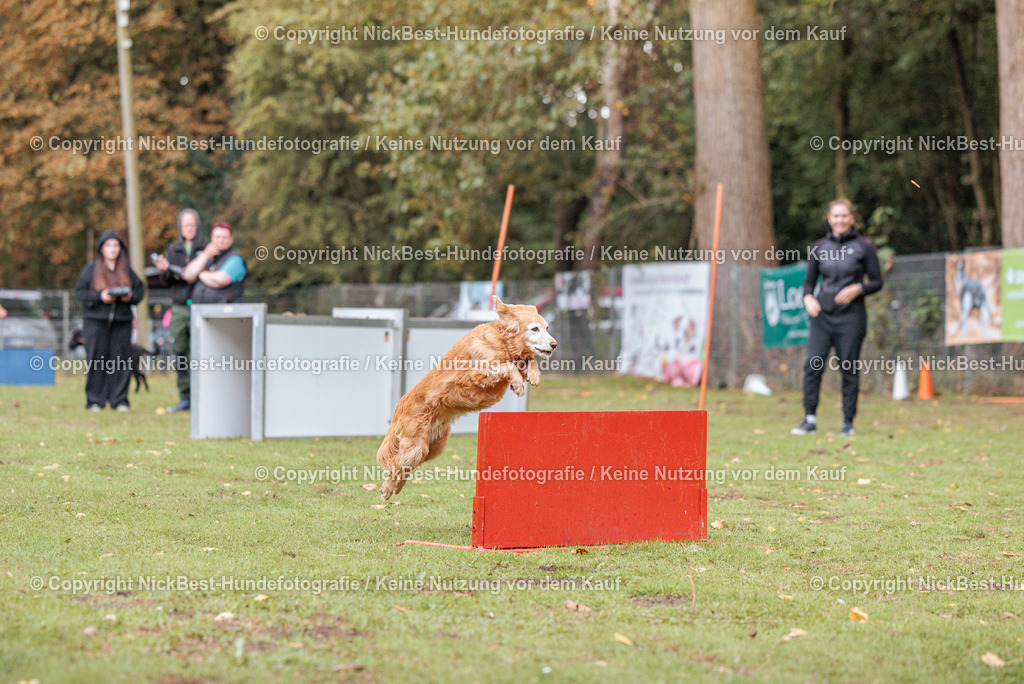 THS-HSV-Blumenthal-2026-Nickbest-Hundefotografie-4266 | Dein Hund! Dein Moment! Deine Erinnerungen! Hundefotografie in Bremen Blumenthal. Ich fange die besonderen Momente deines Vierbeiners ein – ob Indoor mit Blitzanlage oder in der freien Natur. Sicher dir dein Moment und dein Termin für eure Erinnerungen.
