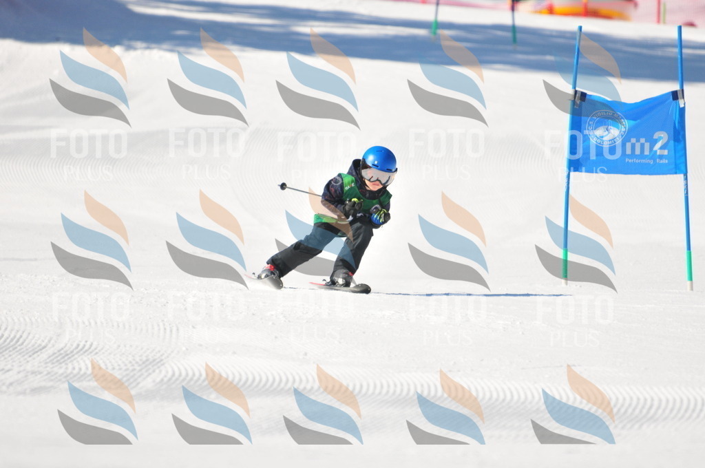 C2064 | holidayphoto