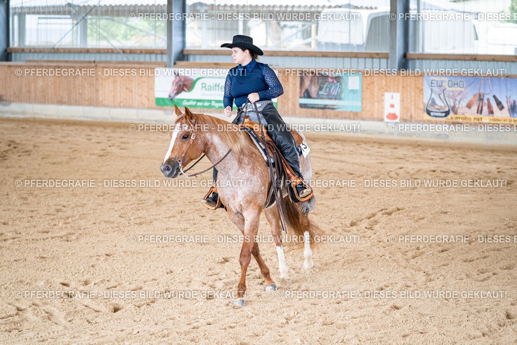 DSC01990 | Pferdegrafie