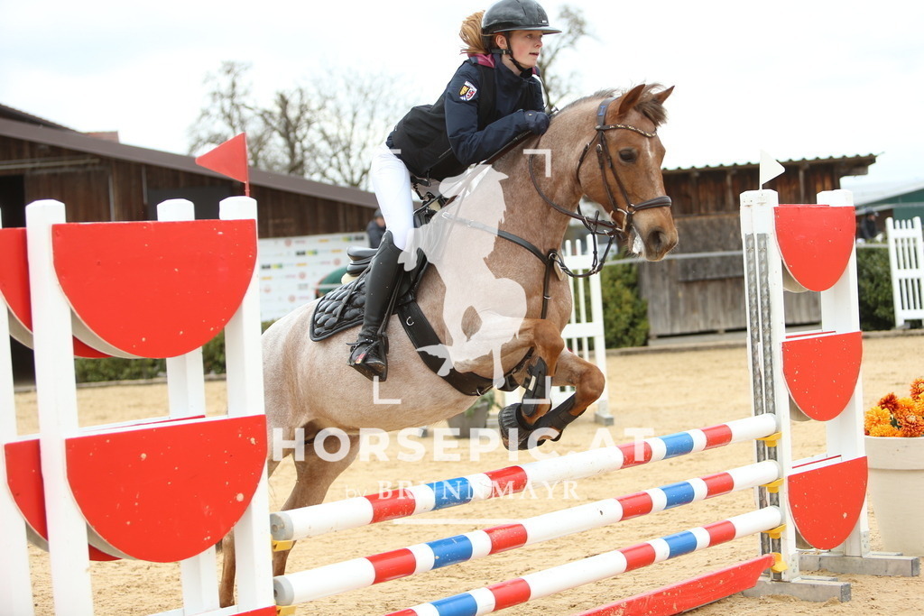 DL2Q1898 | Willkommen bei Brunnmayr - Design & Fotografie – Ihrem Spezialisten für Reitturniere und Pferdeveranstaltungen in Oberösterreich, Salzburg und Bayern! Seit über 17 Jahren sind wir leidenschaftlich dabei.