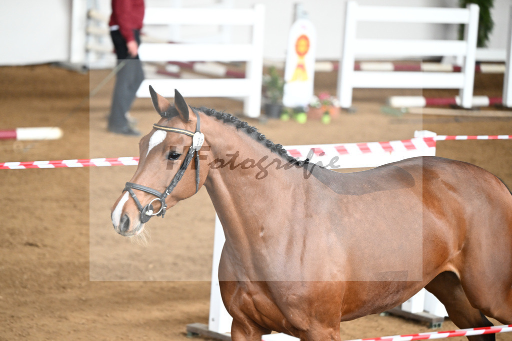 Kat-Nr. 38 Zalentino v. Zaccorado_Isaak_9240806 | hf-fotografie - Realizzato con Pictrs.com
