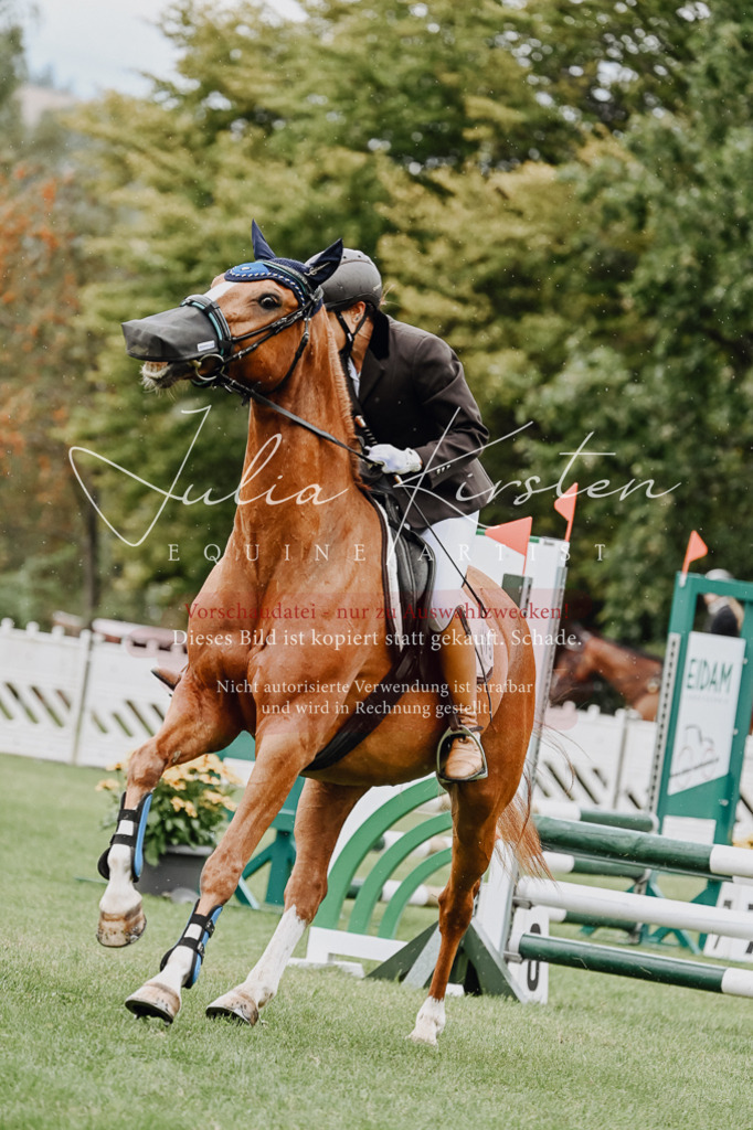DSC_6975 | Pferde- und Turnierfotografie in Westsachsen. Pferdeportraits, Auftragszeichnungen und intuitive Kunst.