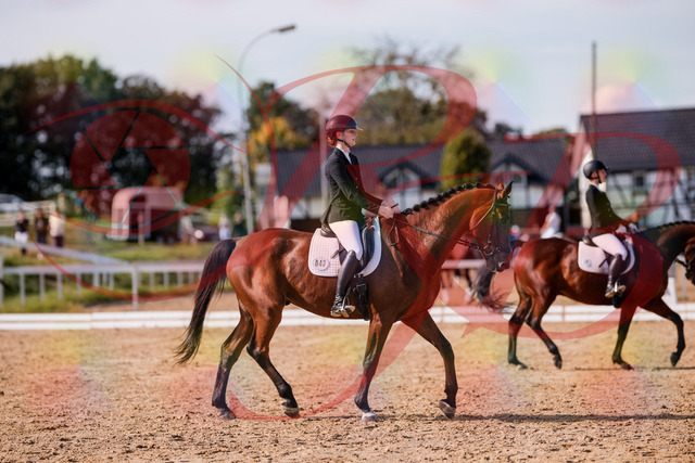 2026_10_03_Siefer-Hof_130840_Z81_61328273 | Professionelle Reitsport-, Turnier- und Eventfotografie von Robert Broda. Galerien mit ausgewählten und bearbeiteten Bildern direkt online ansehen und bestellen.