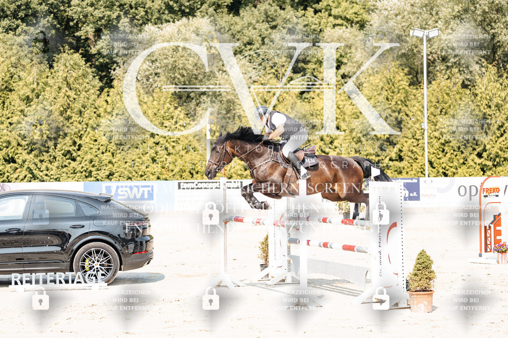 CK901720 | Turnierfotografie Pferdefotografie Trier Rheinland-Pfalz Pferdesport Reitsport Tierfotografie Sportfotografie Pferdevideo Pferdevideografie Equestrianvideography equestrianphotography  - Realisiert mit Pictrs.com
