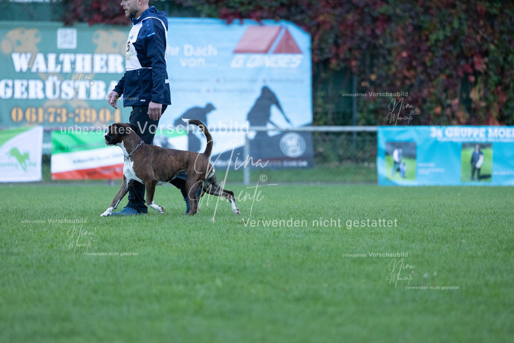 _16A4512 | Einzigartige Fotos von Hunden & Menschen –Actionfotos, Portraits, Vereinsaufnahmen & Paarshootings – authentisch, lebendig & mit Herz.
