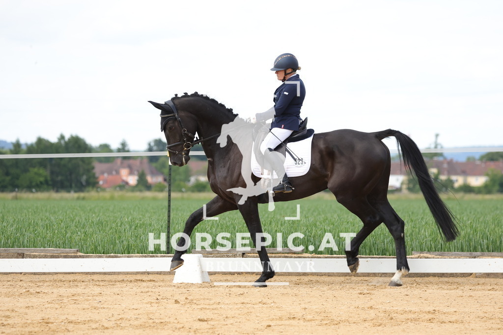 0P6A9074 | Willkommen bei Brunnmayr - Design & Fotografie – Ihrem Spezialisten für Reitturniere und Pferdeveranstaltungen in Oberösterreich, Salzburg und Bayern! Seit über 17 Jahren sind wir leidenschaftlich dabei.