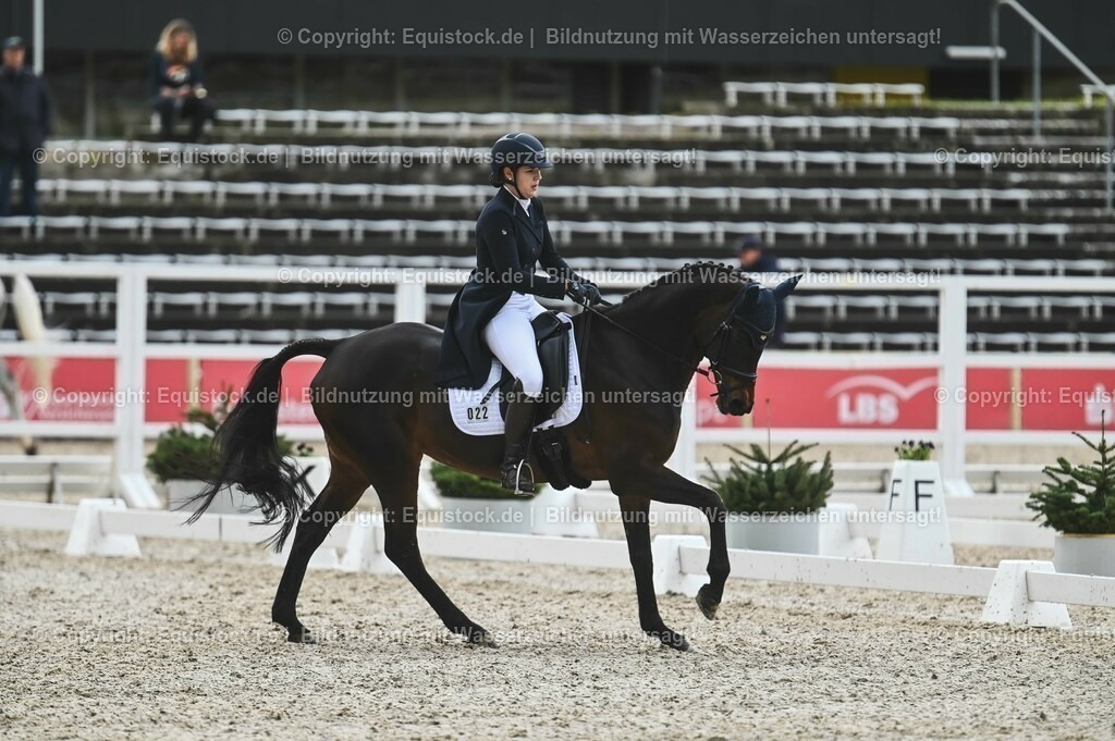 20230512_CCI4_Dressur_0289 | equistock