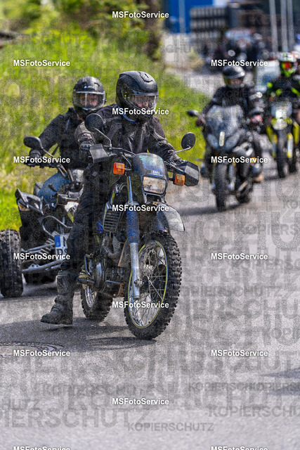 MSFotoService-659 | MSFotoService - Realisiert mit Pictrs.com