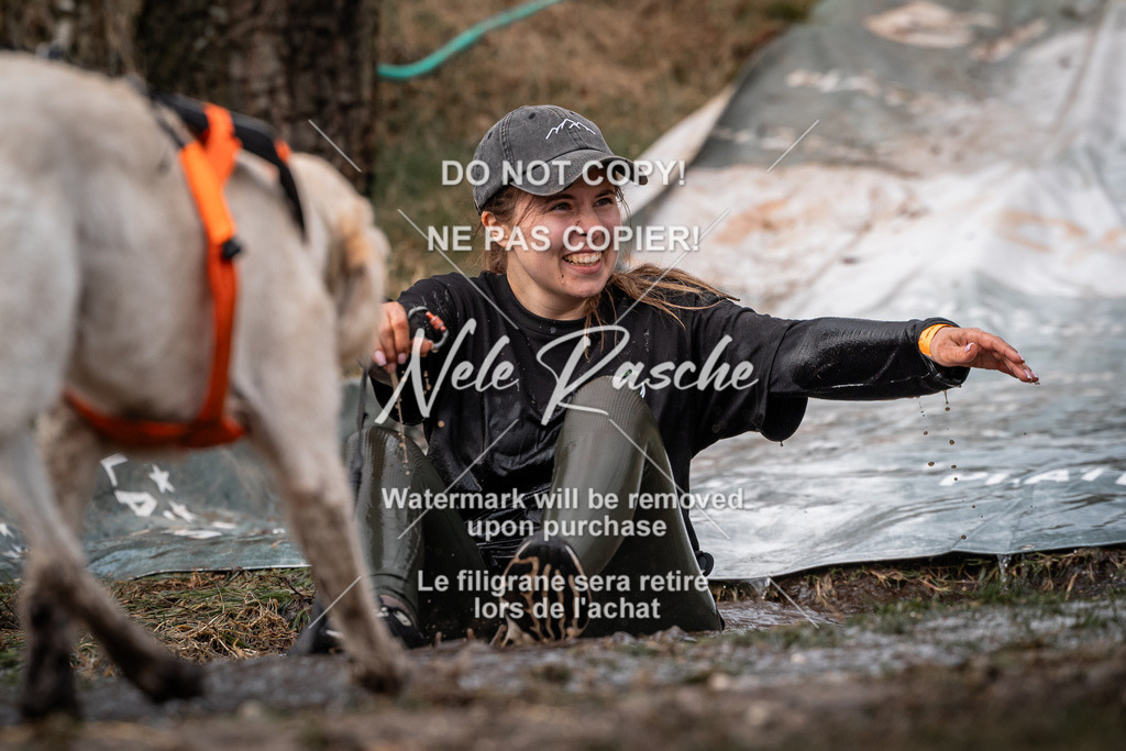 nelerasche_1330-1400_123 | nelerasche