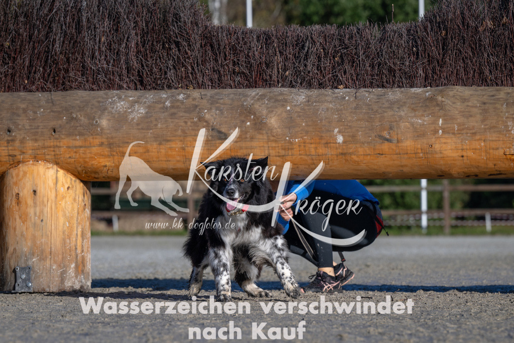 1035-_ZZ91778 | kk-dogfotos