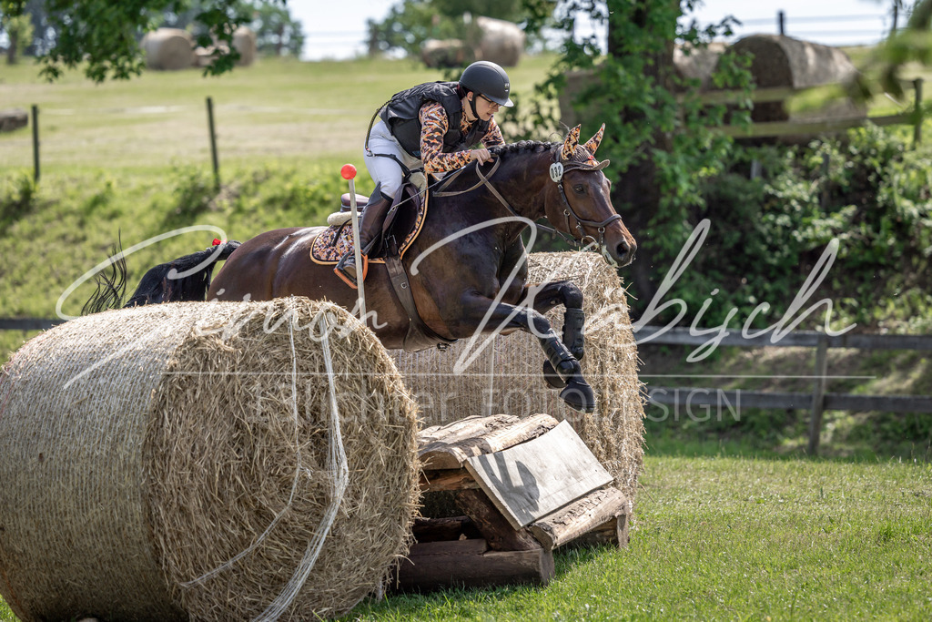 20260523-_3LI9100 | Tierfotografie Pferde, Hunde, Katzen, Haustiere.
Turnierfotografie Reitturniere, Reiten, Springreiten, Dressur in Hanau, dem Main-Kinzig-Kreis und dem Rhein-Main- Gebiet um Frankfurt