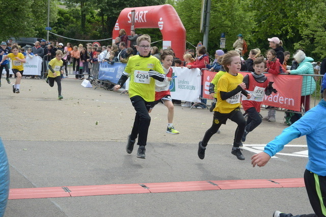 11-05-52_ | Meisterchip Fotoshop - Realisiert mit Pictrs.com