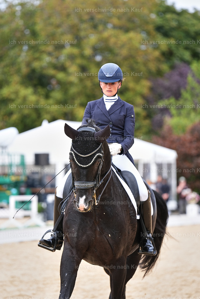 11-042-Dressur S___-Marixx-1666 | working equitationturnier fotograf videograf stoibphotography marixx film working equitation deutschland reitsport turnierfotografie eventfotografie equestrian events