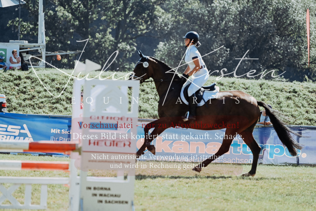 DSC_5970 | Pferde- und Turnierfotografie in Westsachsen. Pferdeportraits, Auftragszeichnungen und intuitive Kunst.