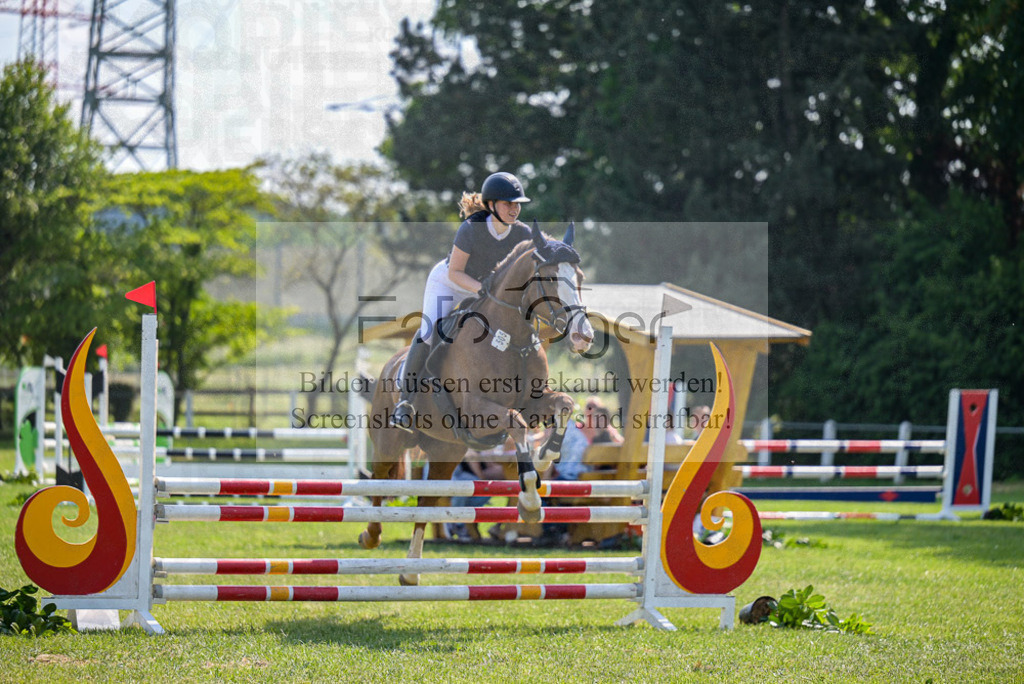 Reitturnier Voxtrup | Entdecke hochwertige Reitturnierfotos von Foto Oger. Professionell, emotional und authentisch – jetzt Lieblingsmomente im Shop bestellen.Deutschlandweite Turnierfotografie. - Realisiert mit Pictrs.com