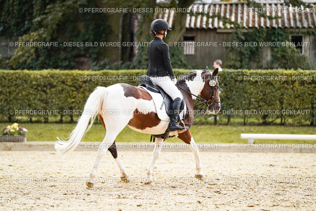 DSC01227 | Pferdegrafie