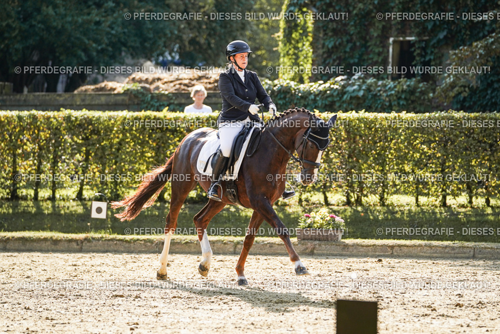 DSC06434 | Pferdegrafie