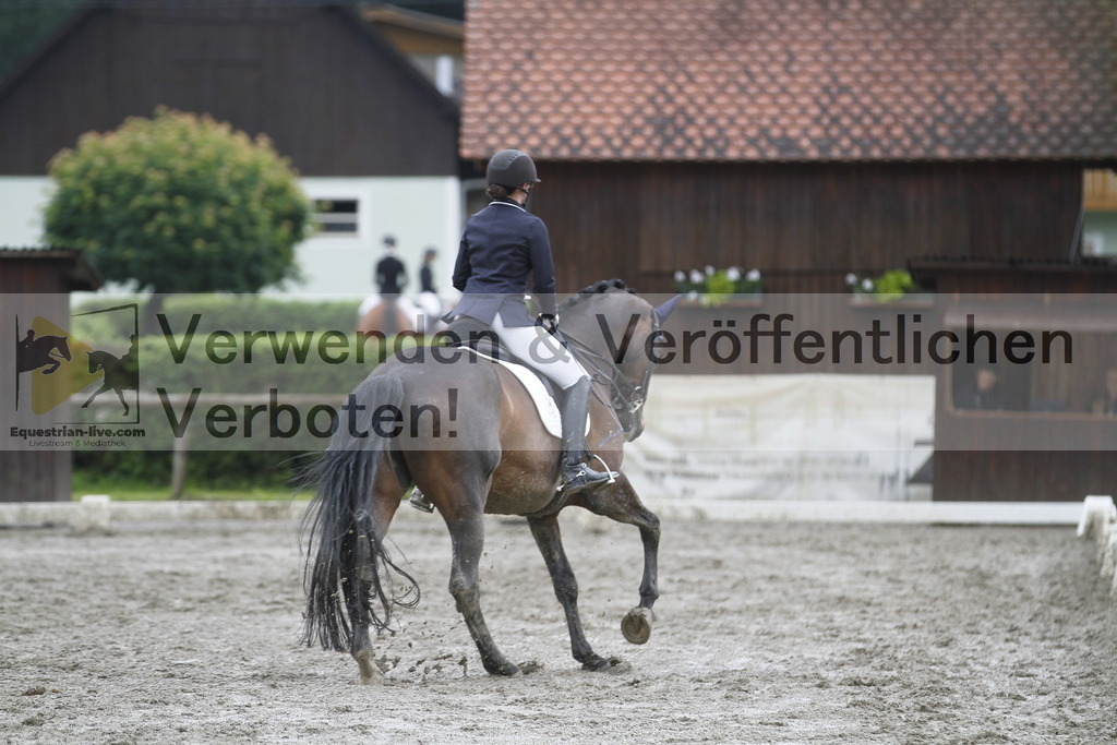 _MG_2337 | equestrian-live-com