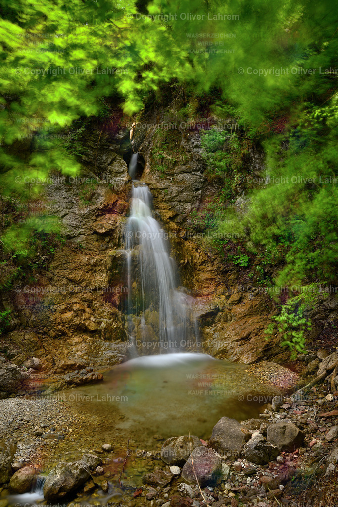 Der erfrischende Wasserfall | Das Leuchtende Grün der Blätter bewegt sich leicht im Wind und darunter fällt ein kleiner Bach die Felswand in eine Gumpe herunter