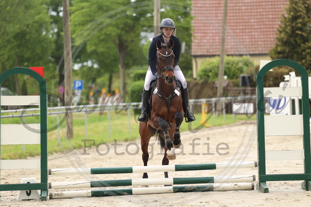 994A8405 | sabrinanicolaifotografie - Realisiert mit Pictrs.com