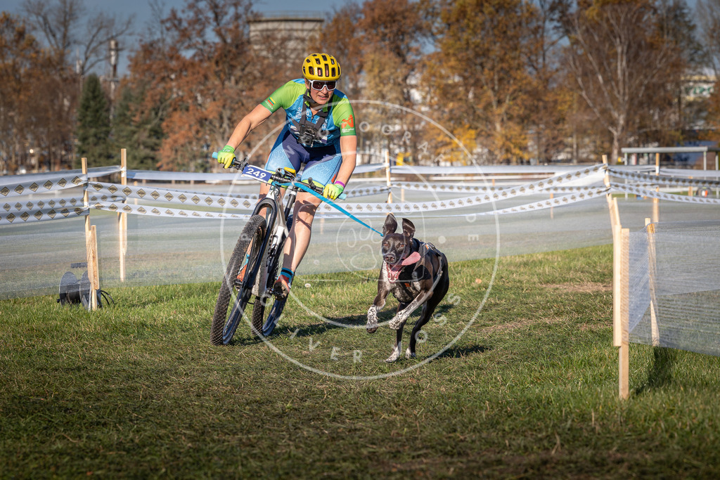 CaniXpix_0L8A4900 | Hundefotografie, Tierfotograf, Pfotenfotografie, Fotoshooting Hund, Hunde Portrait, Hundesport, Hundeportraits, Heideshooting, Hunde, Sportfotograf, Hundefotograf, Turnierhundsport, THS,  - Realisiert mit Pictrs.com