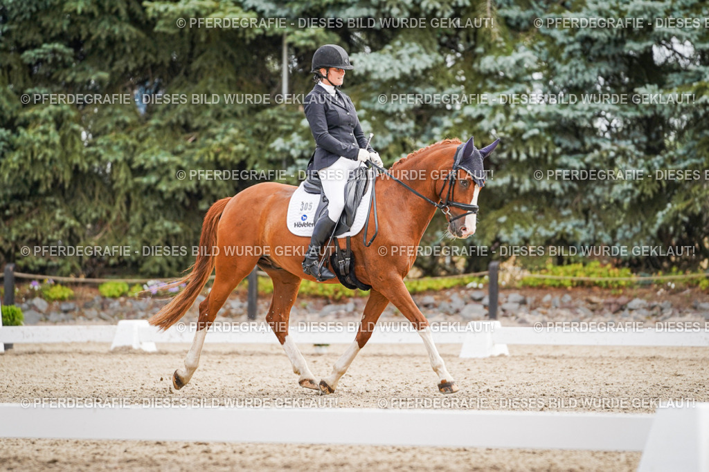 DSC01787 | Pferdegrafie