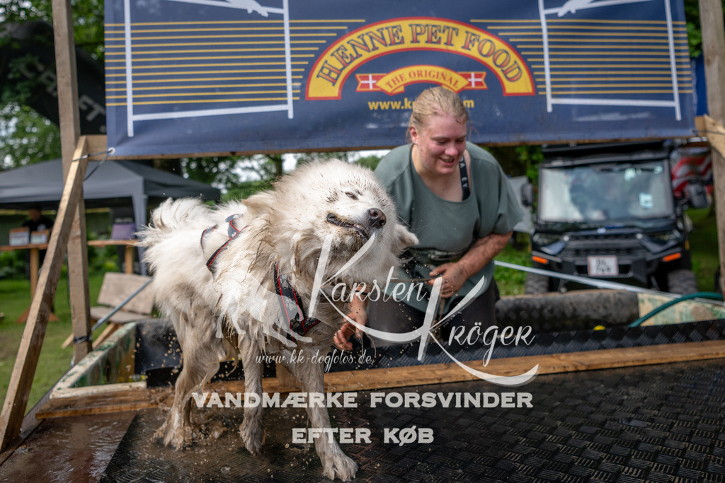 1110_ZZ92950 | kk-dogfotos