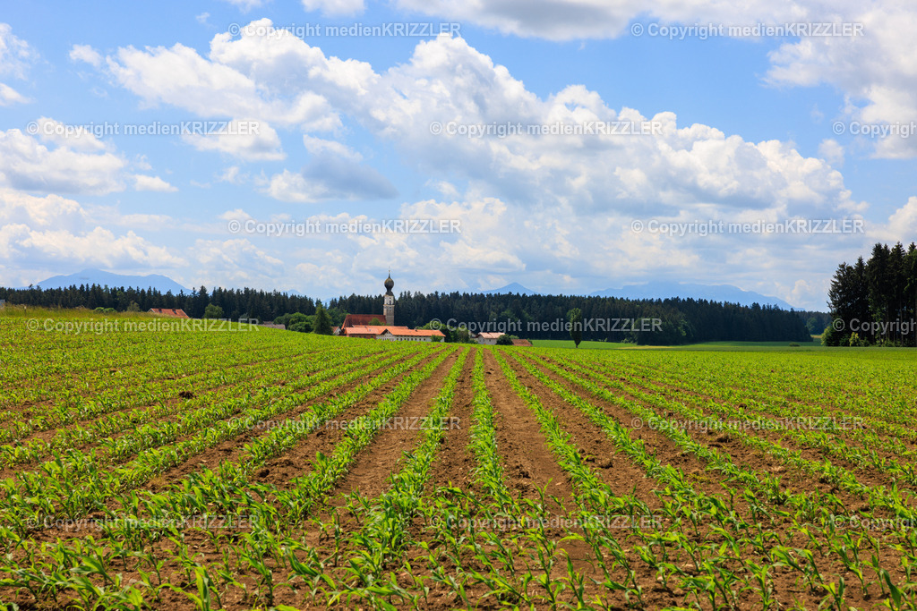 Oberfeldkirchen | medienkrizzler - Realisiert mit Pictrs.com