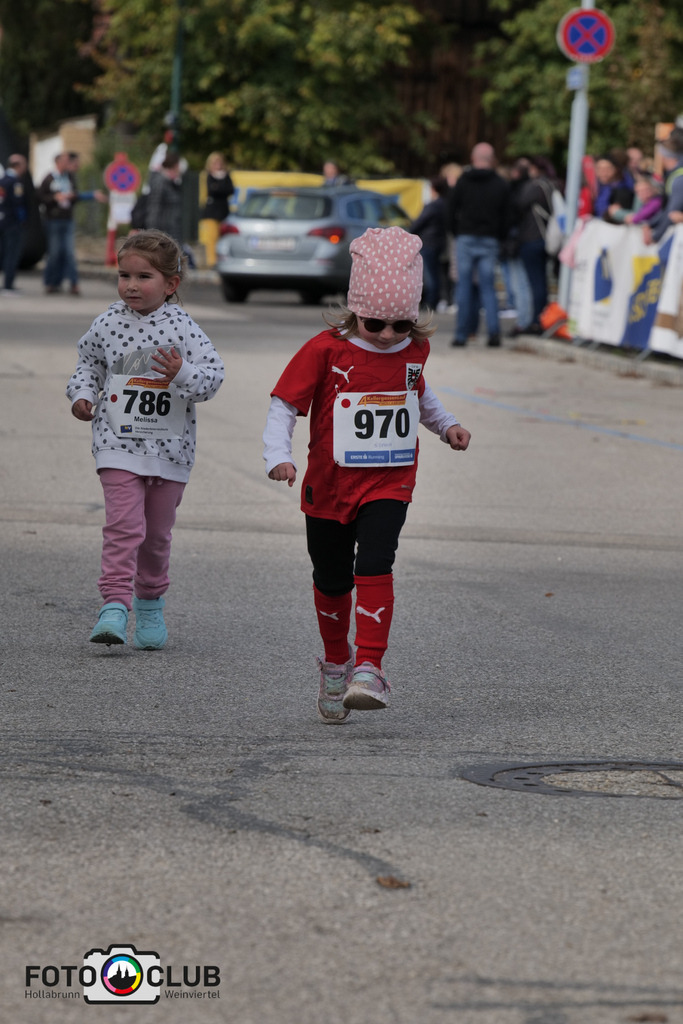 P1039005 | Foto Buchgraber