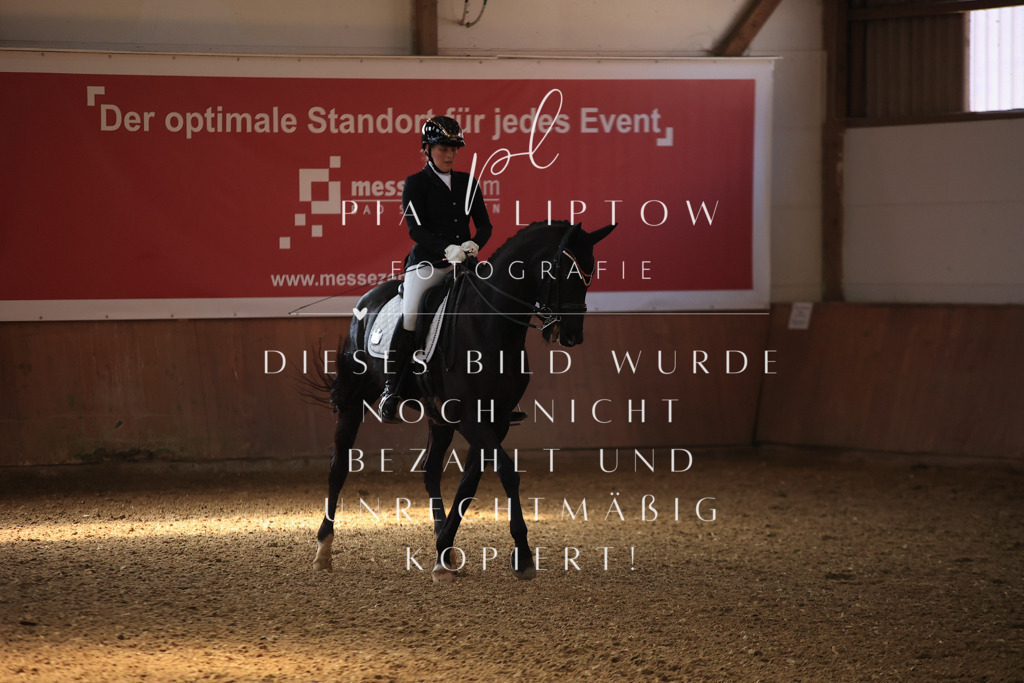 IMGT3204 | pl-fotografie