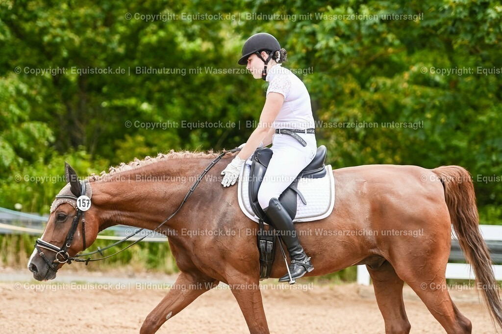 20230715_05_Dressurprüfung Kl.A++_0055 | equistock