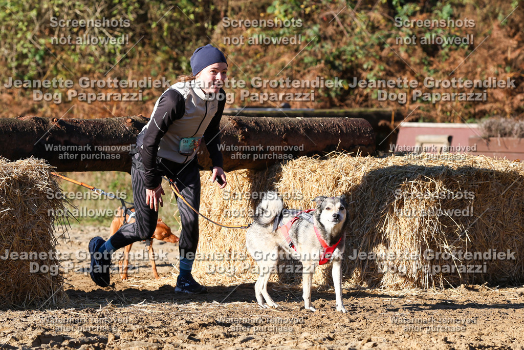 Dog Paparazzi - Strongdog 10-25-1607 | Dog Paparazzi Jeanette Grottendiek Fotografie & Videografie - Realisiert mit Pictrs.com