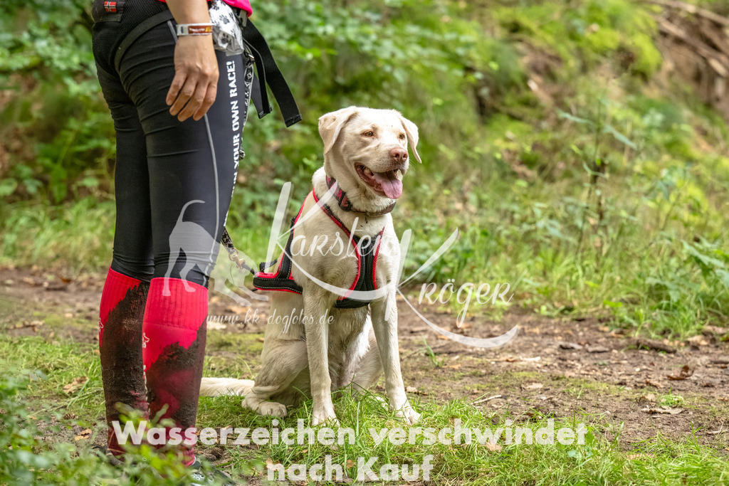 1336_ZZ93404-Bearbeitet | kk-dogfotos