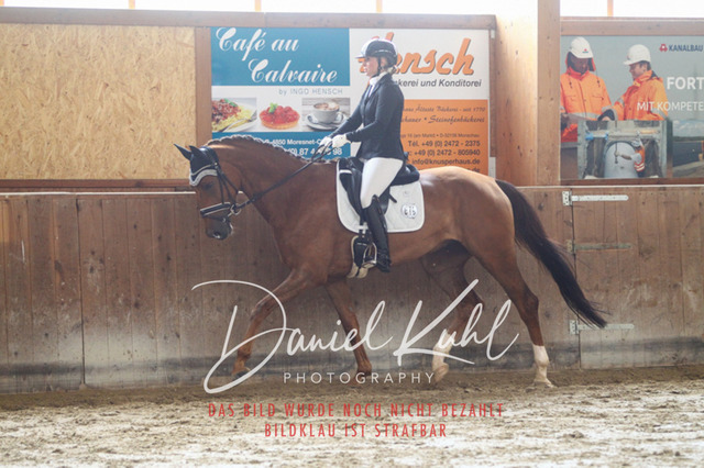 DKP43185 | Turnierfotos kaufen im Webshop von Daniel Kuhl Photography – entdecke professionelle Reitsportfotos aus Turnieren & Events. Hochwertige Turnierbilder online bestellen & sichern. Jetzt Fotos von Reitsportturnieren kaufen!