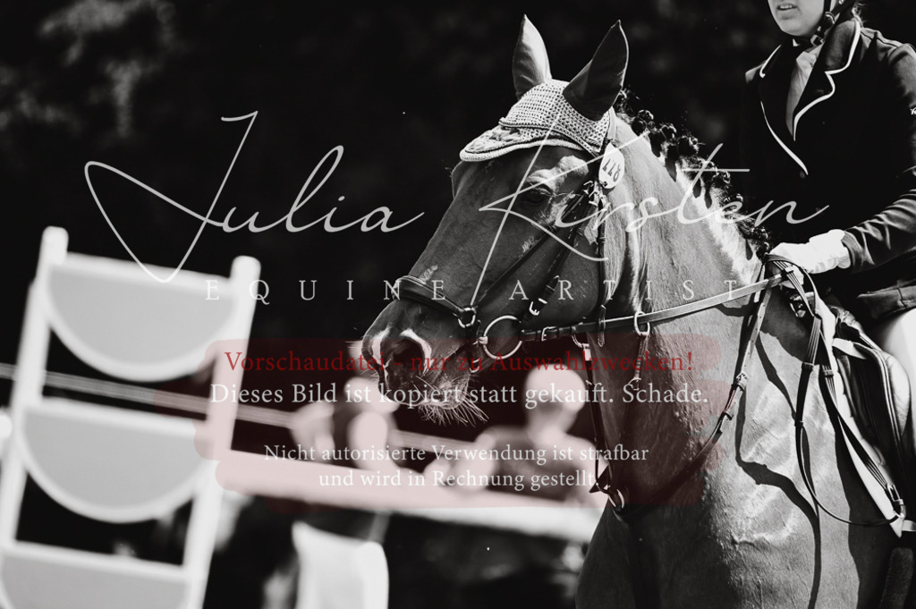 DSC_9898 | Pferde- und Turnierfotografie in Westsachsen. Pferdeportraits, Auftragszeichnungen und intuitive Kunst.