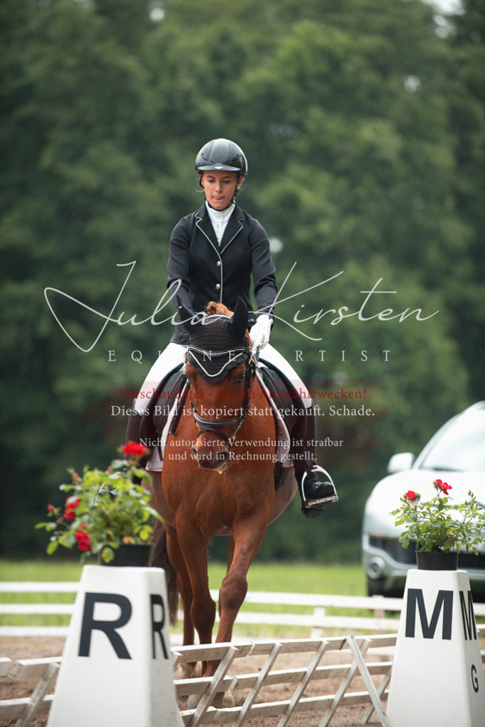 DSC_9795 | Pferde- und Turnierfotografie in Westsachsen. Pferdeportraits, Auftragszeichnungen und intuitive Kunst.