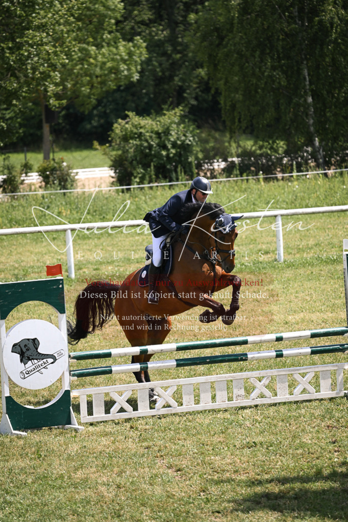 DSC_9799 | Pferde- und Turnierfotografie in Westsachsen. Pferdeportraits, Auftragszeichnungen und intuitive Kunst.