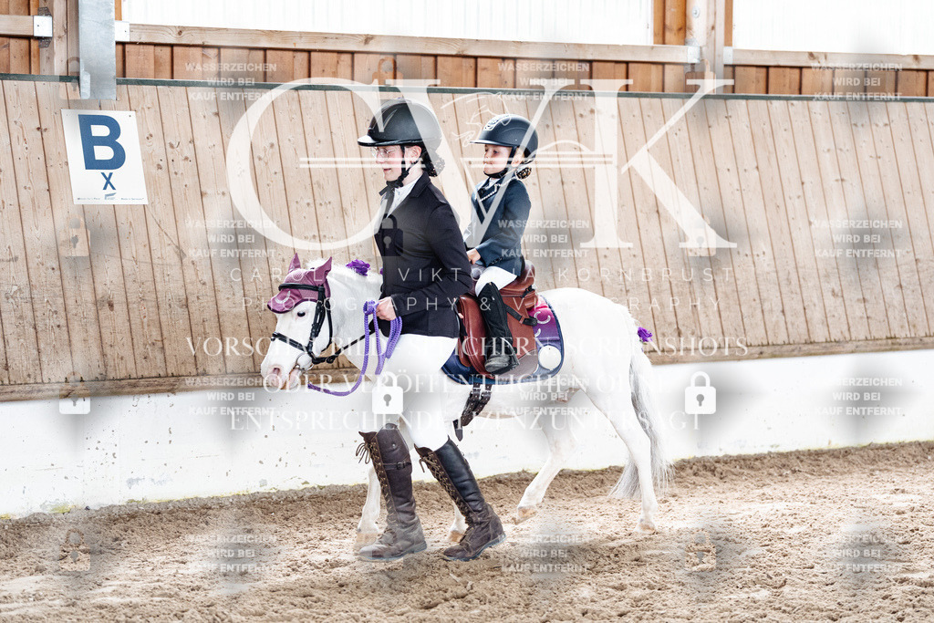 CK902131 | Turnierfotografie Pferdefotografie Trier Rheinland-Pfalz Pferdesport Reitsport Tierfotografie Sportfotografie Pferdevideo Pferdevideografie Equestrianvideography equestrianphotography  - Realized with Pictrs.com