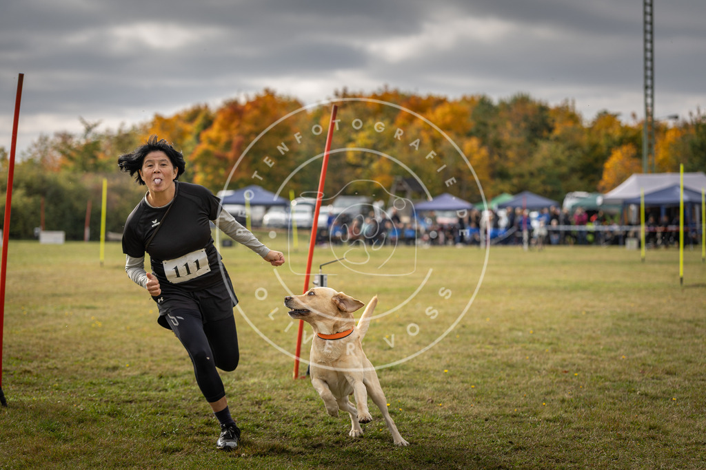 Pfotenfotografie_DV3A7158 | Hundefotografie, Tierfotograf, Pfotenfotografie, Fotoshooting Hund, Hunde Portrait, Hundesport, Hundeportraits, Heideshooting, Hunde, Sportfotograf, Hundefotograf, Turnierhundsport, THS,  - Realisiert mit Pictrs.com