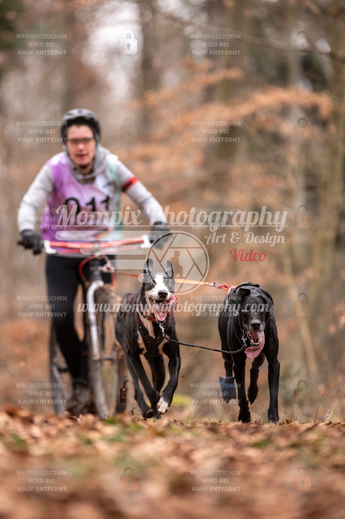 AKM_ST_2023_SAM_DS2-4 | PayLife