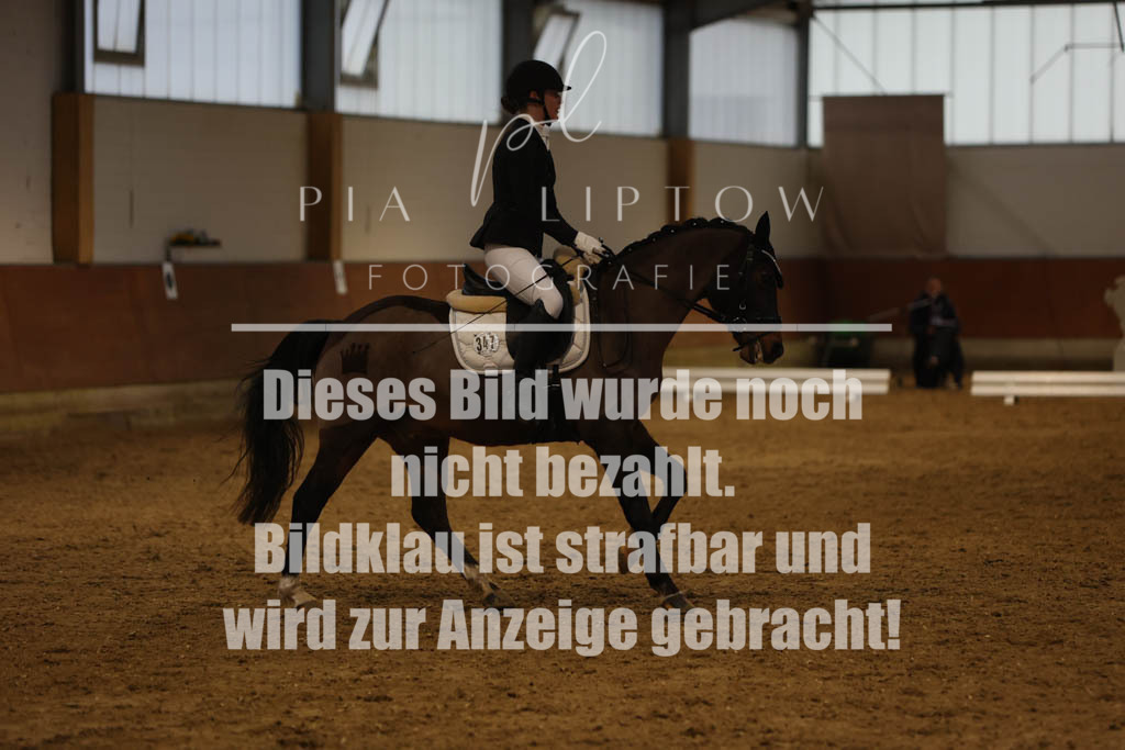 IMGM0546 | pl-fotografie