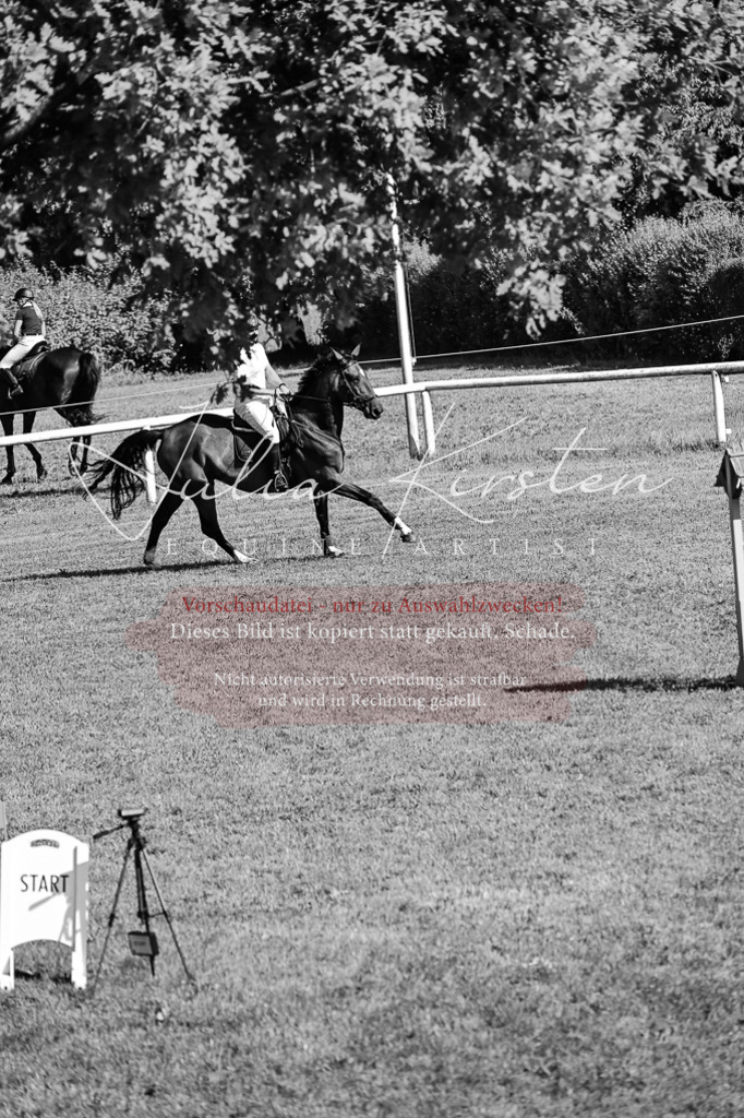 DSC_2161 | Pferde- und Turnierfotografie in Westsachsen. Pferdeportraits, Auftragszeichnungen und intuitive Kunst.