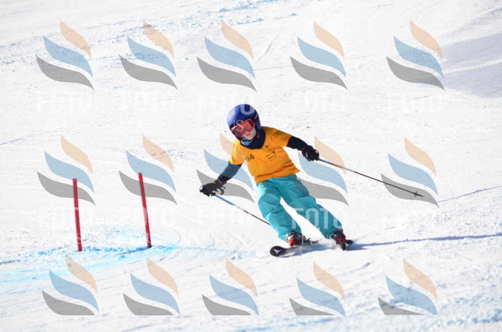 C6089 | holidayphoto