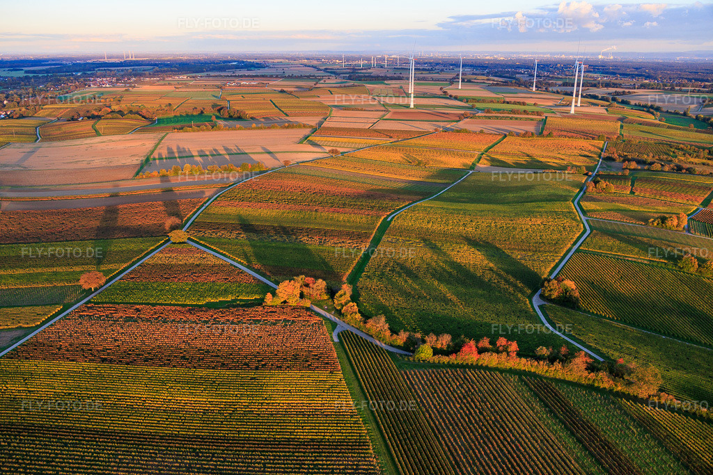Luftbild: Herbstlich gerfärbte Weinberge am Abend vor dem Windpark Freckenfeld in Dierbach im Bundesland Rheinland-Pfalz in Deutschland. Foto: IMG_150413.jpg vom 15.10.2025 durch Werner Riehm/FLY-FOTO.de